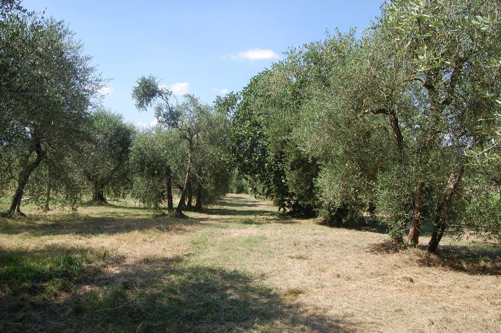 Penzion La Spiga D'Oro Pozzo  Exteriér fotografie