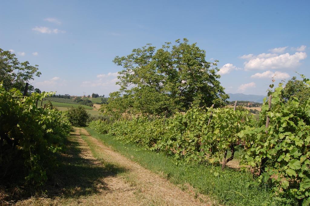 Penzion La Spiga D'Oro Pozzo  Exteriér fotografie
